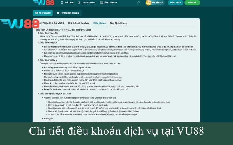 Chi tiết điều khoản dịch vụ tại VU88