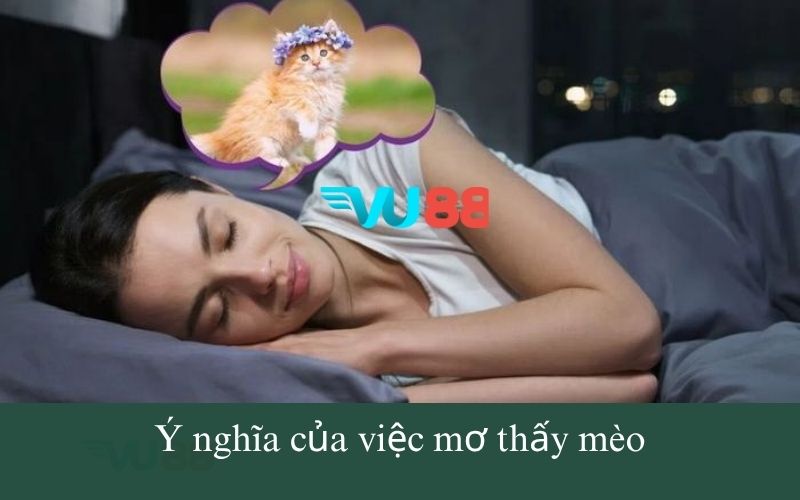 Ý nghĩa của việc mơ thấy mèo