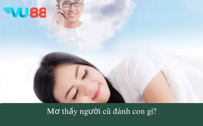 Mơ thấy người cũ đánh con gì?