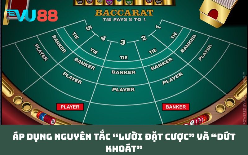 Áp dụng nguyên tắc “lười đặt cược” và “dứt khoát”