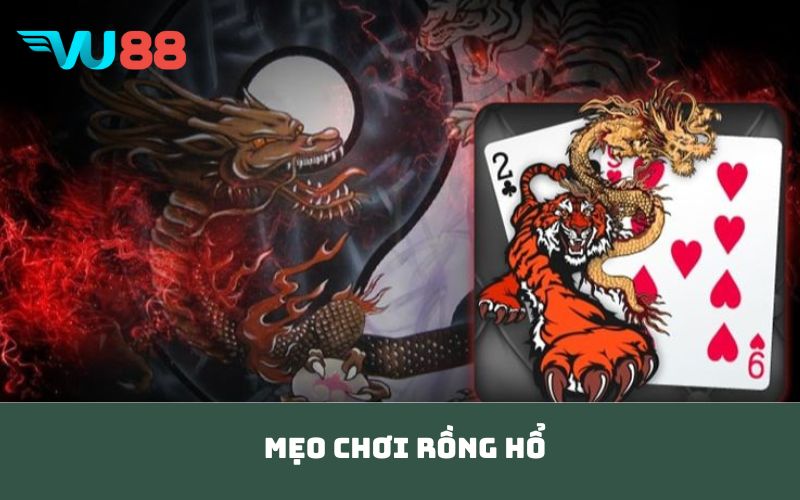 Mẹo chơi rồng hổ