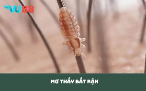 mơ thấy bắt rận