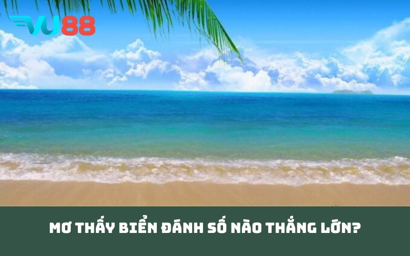 Mơ thấy biển đánh số nào thắng lớn?