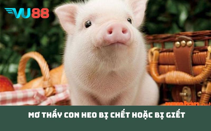 Mơ thấy con heo bị chết hoặc bị giết