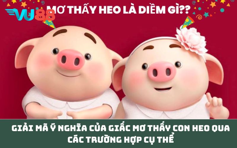 Giải mã ý nghĩa của giấc Mơ thấy con heo qua các trường hợp cụ thể
