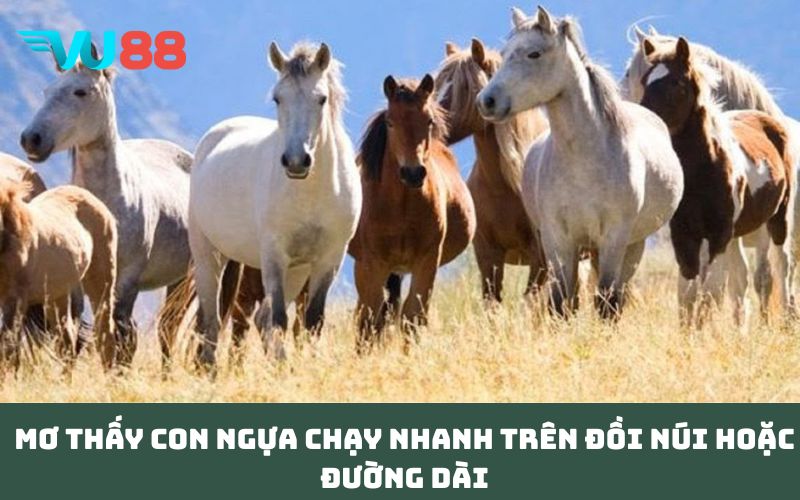 Mơ thấy con ngựa chạy nhanh trên đồi núi hoặc đường dài
