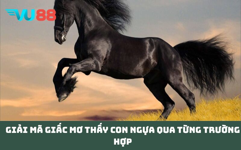 Giải mã giấc Mơ thấy con ngựa qua từng trường hợp
