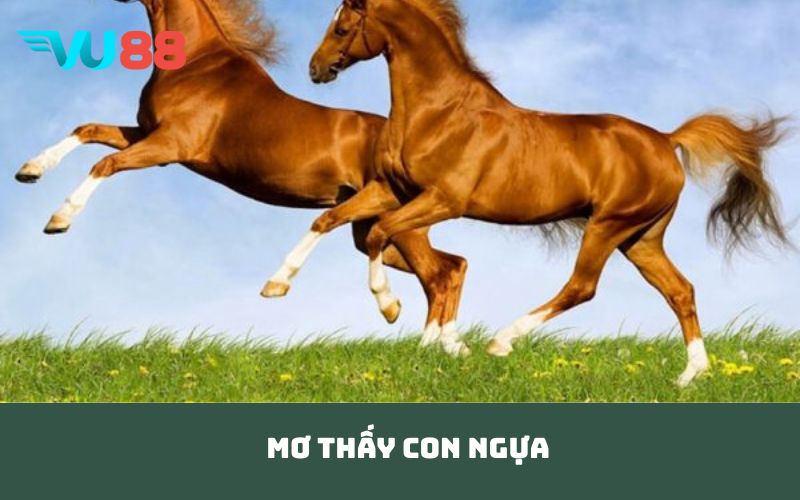 mơ thấy con ngựa