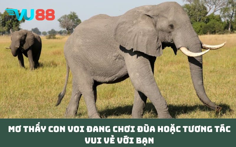 Mơ thấy con voi đang chơi đùa hoặc tương tác vui vẻ với bạn