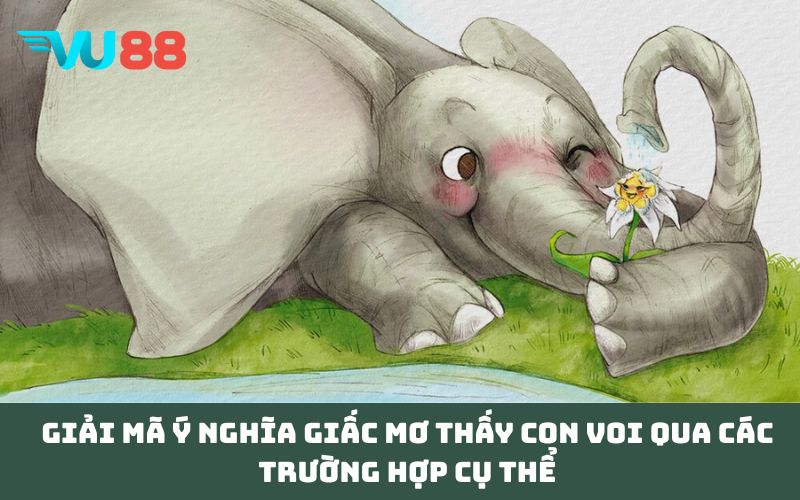 Giải mã ý nghĩa giấc Mơ thấy con voi qua các trường hợp cụ thể