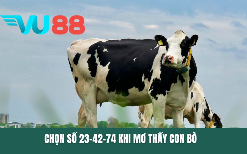 Chọn số 23-42-74 khi mơ thấy con bò