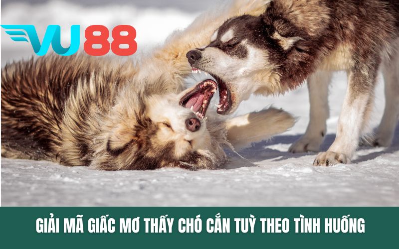 Giải mã giấc mơ thấy chó cắn tuỳ theo tình huống