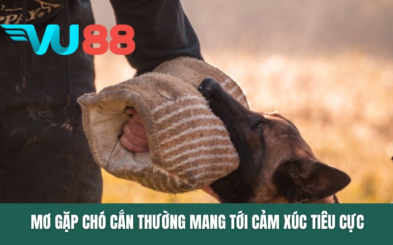 Mơ gặp chó cắn thường mang tới cảm xúc tiêu cực