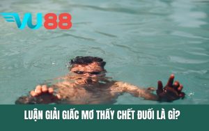 Luận Giải Giấc Mơ Thấy Chết Đuối? Vận May Với Số Lô Gì?