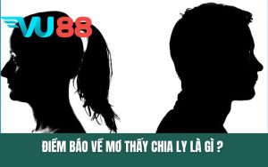 Điềm Báo Về Mơ Thấy Chia Ly?