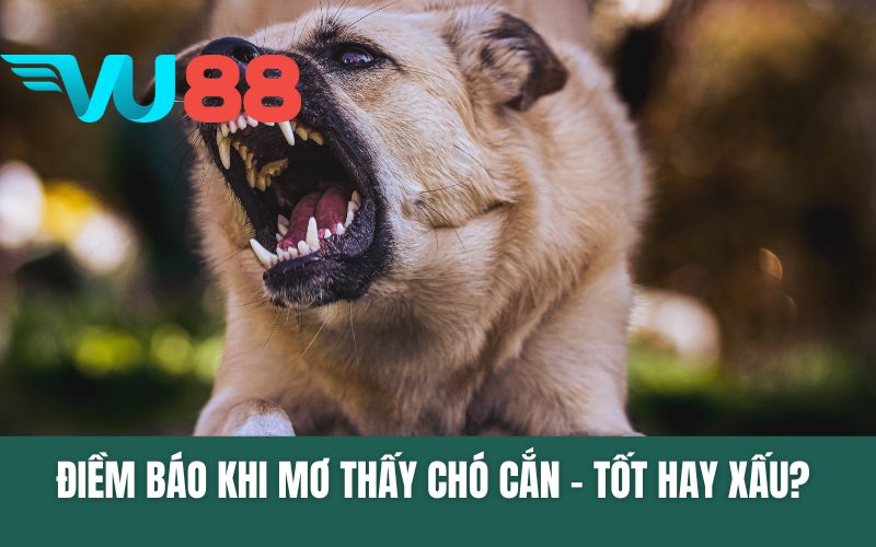 Điềm Báo Khi Mơ Thấy Chó Cắn