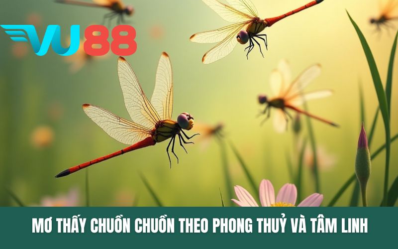 Mơ thấy chuồn chuồn theo phong thuỷ và tâm linh