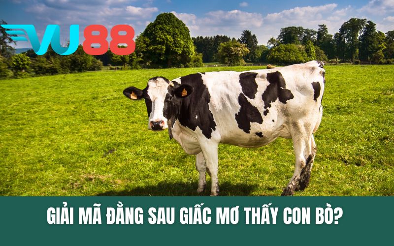 Giải Mã Đằng Sau Giấc Mơ Thấy Con Bò? Chọn Số Đề Gì?