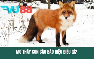 Mơ Thấy Con Cáo Báo Hiệu Điều Gì? Gợi Ý Con Số May Mắn