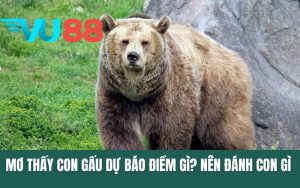 Mơ Thấy Con Gấu Dự Báo Gì? Nên Đánh Số Gì Trúng Lớn?