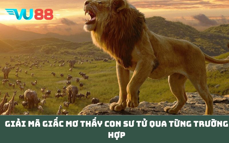 Giải mã giấc Mơ thấy con sư tử qua từng trường hợp