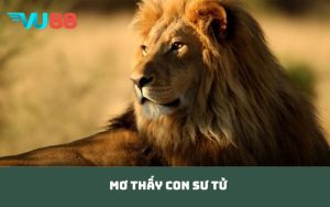 Mơ thấy con sư tử