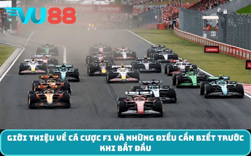 Giới thiệu về cá cược F1 và những điều cần biết trước khi bắt đầu