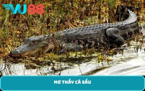 mơ thấy cá sấu