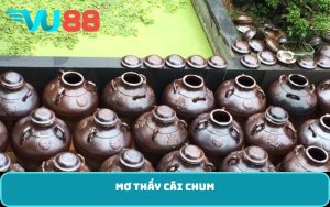 mơ thấy cái chum