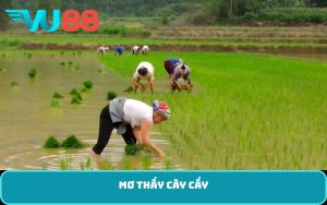 Mơ thấy cày cấy