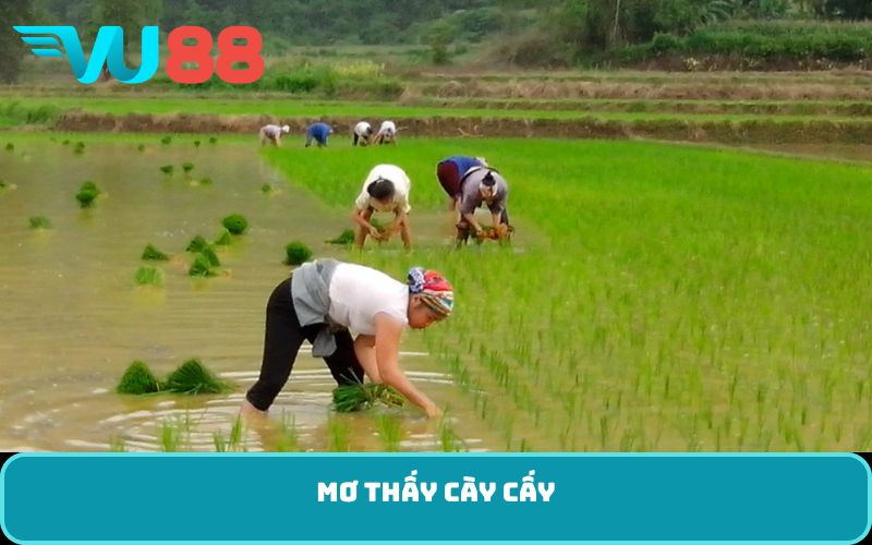 Mơ thấy cày cấy
