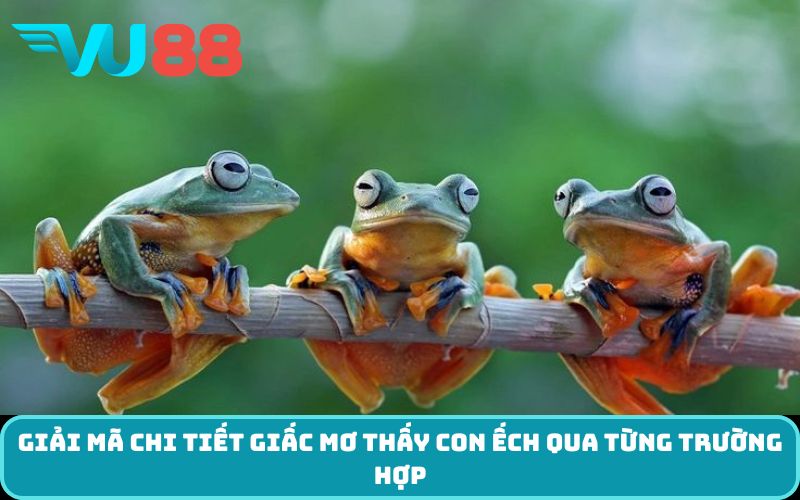 Giải mã chi tiết giấc Mơ thấy con ếch qua từng trường hợp