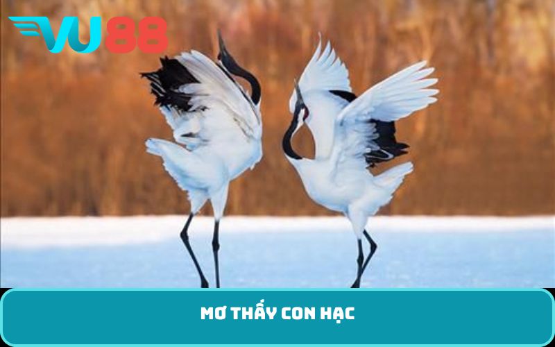 Mơ thấy con hạc