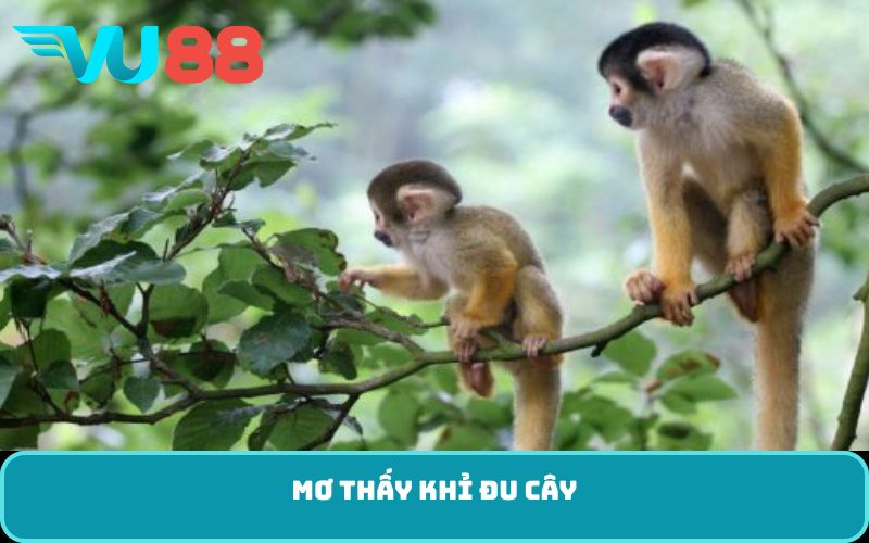Mơ thấy khỉ đu cây