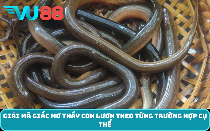 Giải Mã giấc Mơ Thấy Con Lươn theo từng trường hợp cụ thể