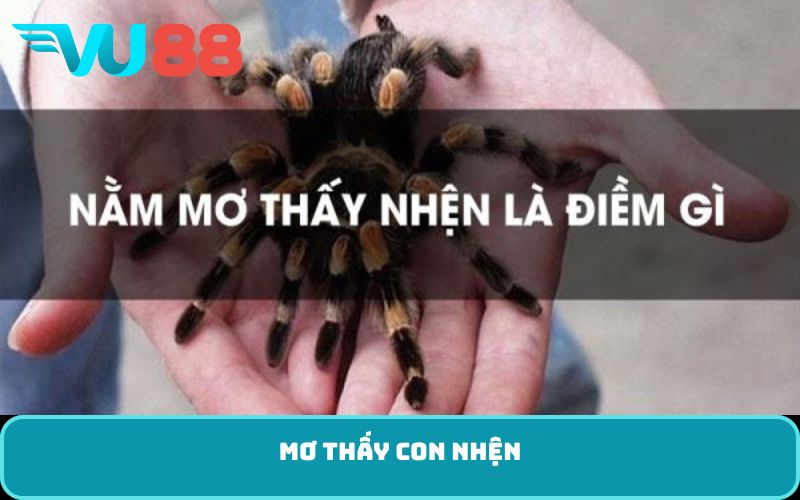 Mơ thấy con nhện