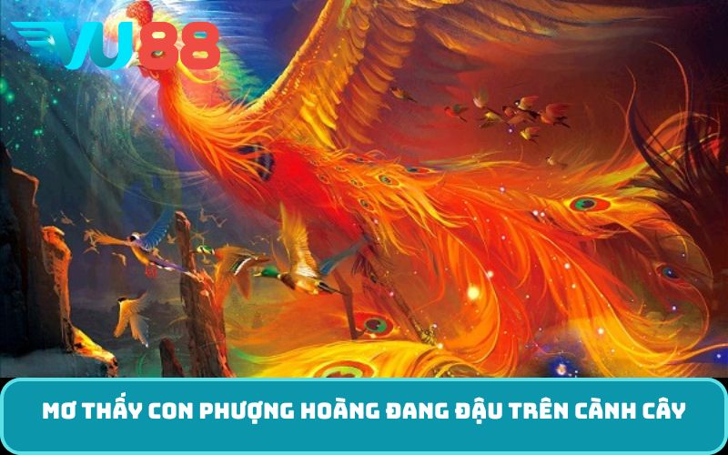 Mơ thấy con phượng hoàng đang đậu trên cành cây