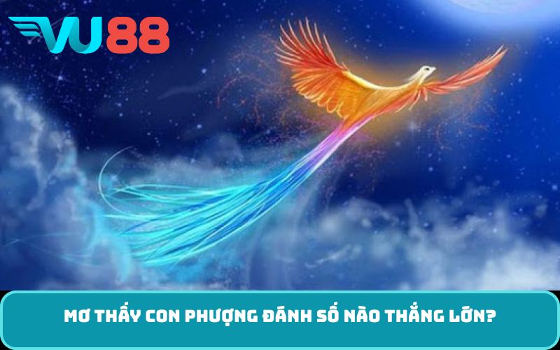 Mơ thấy con phượng đánh số nào thắng lớn?