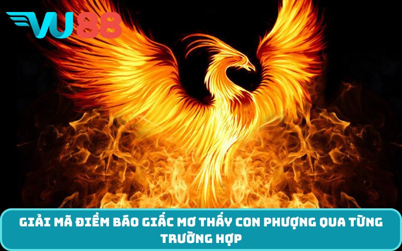 Giải mã điềm báo giấc mơ thấy con phượng qua từng trường hợp