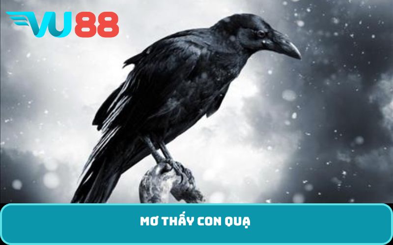 mơ thấy con quạ