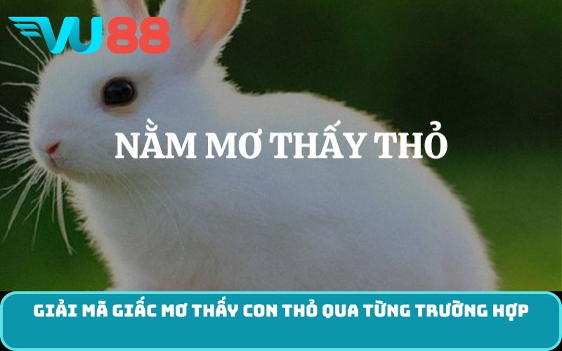 Giải mã giấc mơ thấy con thỏ qua từng trường hợp