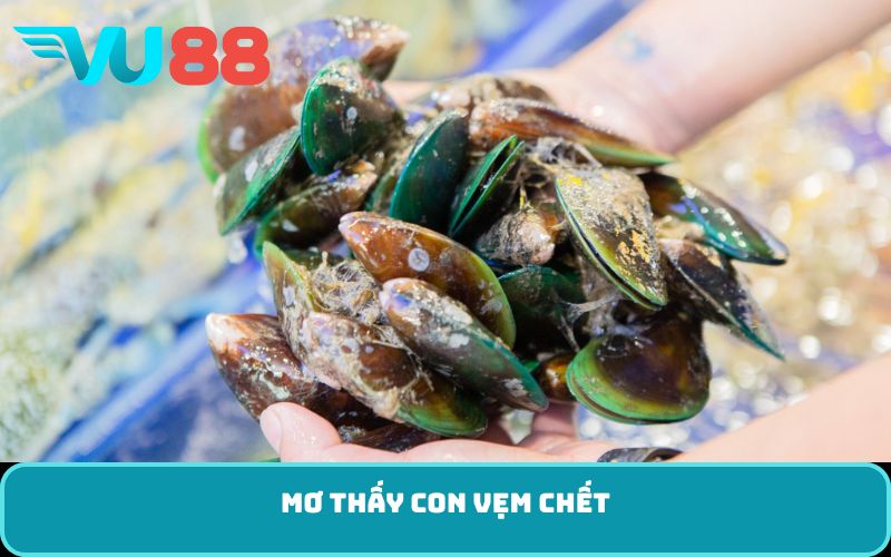 Mơ thấy con vẹm chết