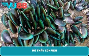 mơ thấy con vẹm