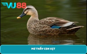 Mơ thấy con vịt